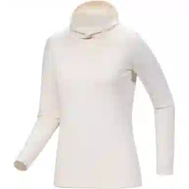 Arcteryx Rho Hoody