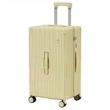 SEA LION ABS+PC 20242628