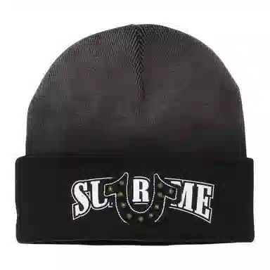 SupremexTRUE RELIGION FW25 WEEK 13 Beanie -