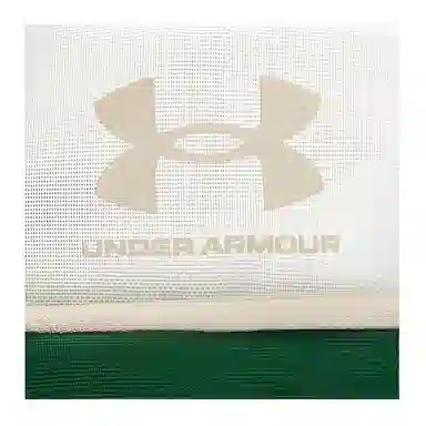 Under Armour Essential 4L Crossbody