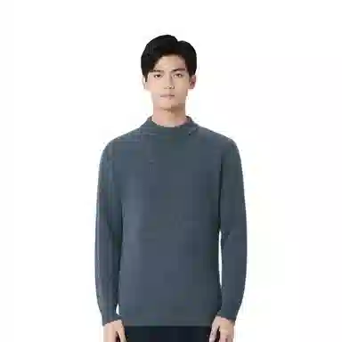恒源祥 纯羊毛加厚半高领针织长袖毛衣 男款