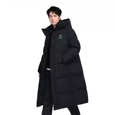 鸭鸭 简约通勤连帽时尚直筒时尚加厚纯色羽绒服 男女同款