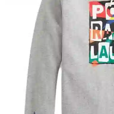 Polo Ralph Lauren Hoodie Grey