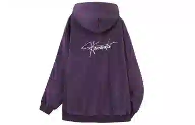 Kawasaki Hoodie