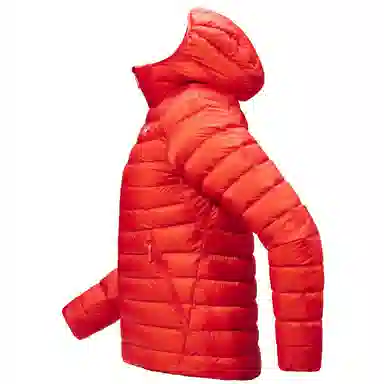 Arcteryx Cerium LT 850logo