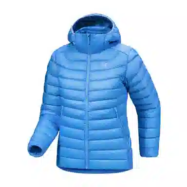 Arcteryx Cerium LT 850logo