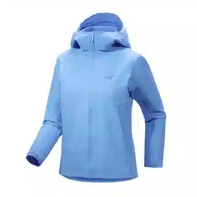 Arcteryx Gamma Hoody