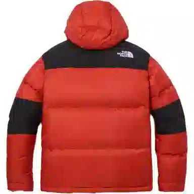 THE NORTH FACE Logo