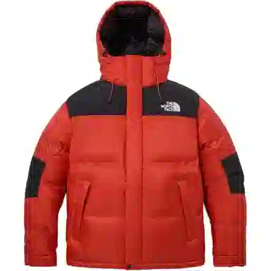THE NORTH FACE Logo