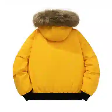 The Simpsons Down Parka