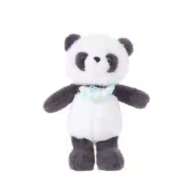 The Green Party 13cm25cm