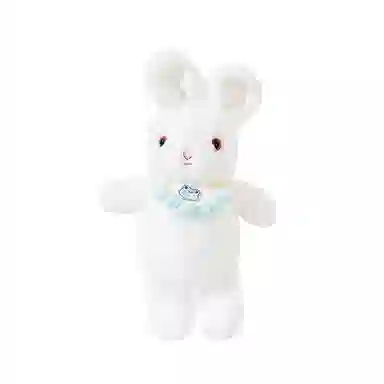 The Green Party 13cm25cm