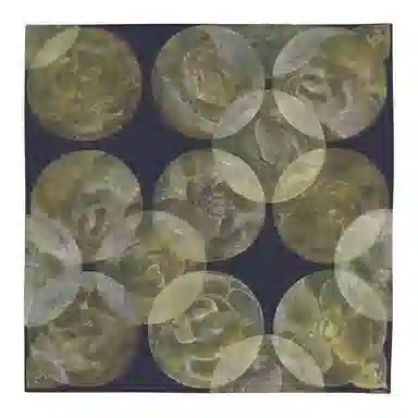 CHANEL Floral Silk Scarf Black Green