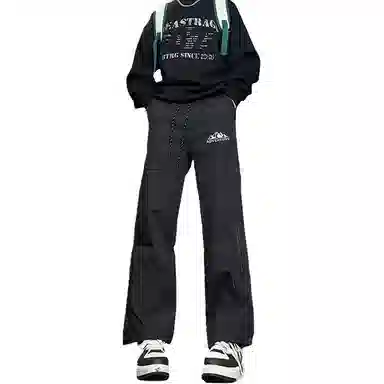 八哥 美式高街侧拉链褶皱款防水户外机能冲锋纯色基础款冰丝凉感宽松直筒垂直微喇休闲裤 男女同款