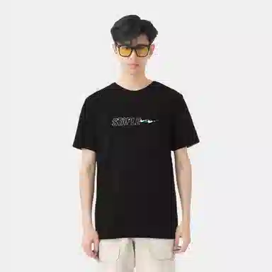 staple x Nike T