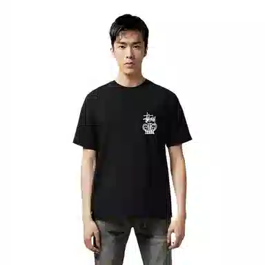 Stussy One World Tee T