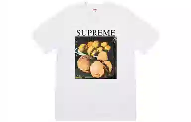 Supreme FW18 Still Life Tee Ash Grey