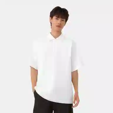UNIQLO x THEORY Polo Shirt