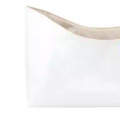 LOUIS VUITTON Carryall