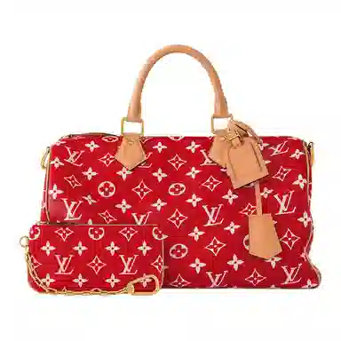 LOUIS VUITTON Speedy 40