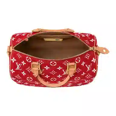 LOUIS VUITTON Speedy 40