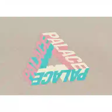 PALACE P-3d Hood Mushroom FW21