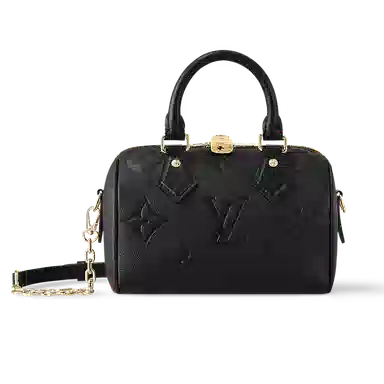 LOUIS VUITTON Speedy 20