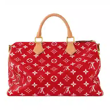 LOUIS VUITTON Speedy 40