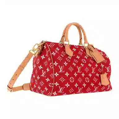 LOUIS VUITTON Speedy 40