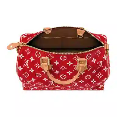 LOUIS VUITTON Speedy 40