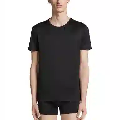 Zegna T 2