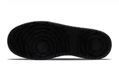 Nike Court Borough Low 2