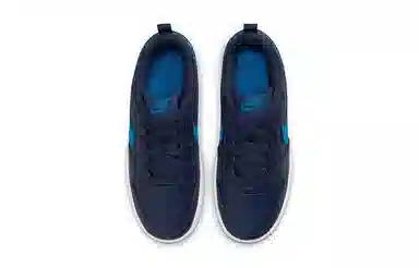 Nike Court Borough Low 2 Blue