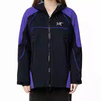 Arcteryx GORE-TEX LOGO