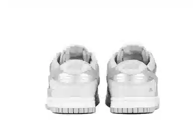 Nike Dunk Low Retro Silver