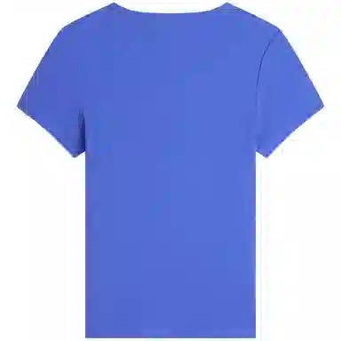 Tommy Hilfiger logo T