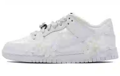 Nike Dunk SB Silver White