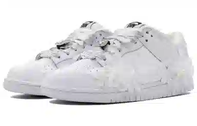 Nike Dunk SB Silver White