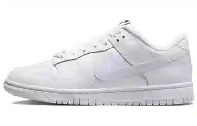 Nike Dunk SB Silver White