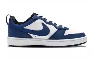 Nike Court Borough Low 2