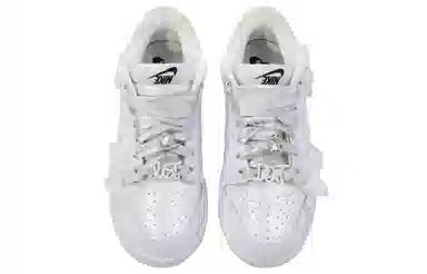 Nike Dunk SB Silver White