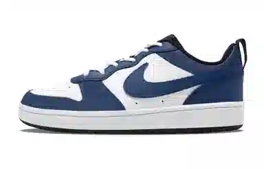 Nike Court Borough Low 2