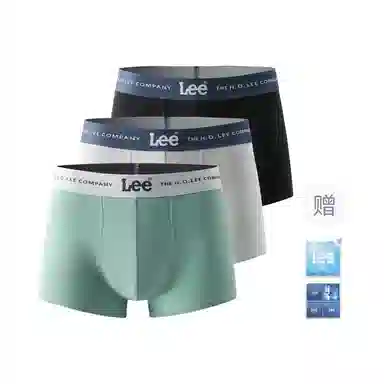 Lee logo 3