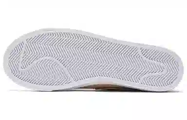 Nike Blazer Low SE PRM