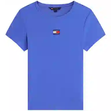 Tommy Hilfiger logo T