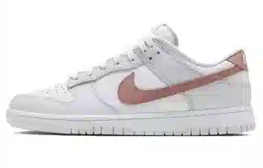 Nike Dunk Low Retro Silver