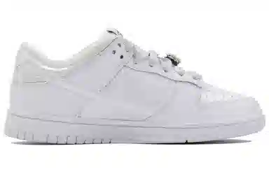 Nike Dunk SB Silver White