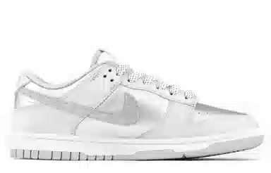 Nike Dunk Low Retro Silver