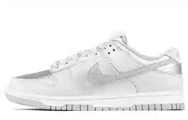 Nike Dunk Low Retro Silver