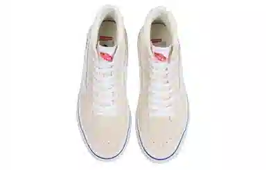 Vans SK8 Skate Classics White Silver